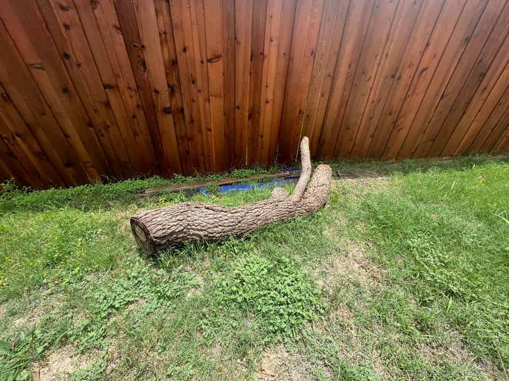 Tree Removal image