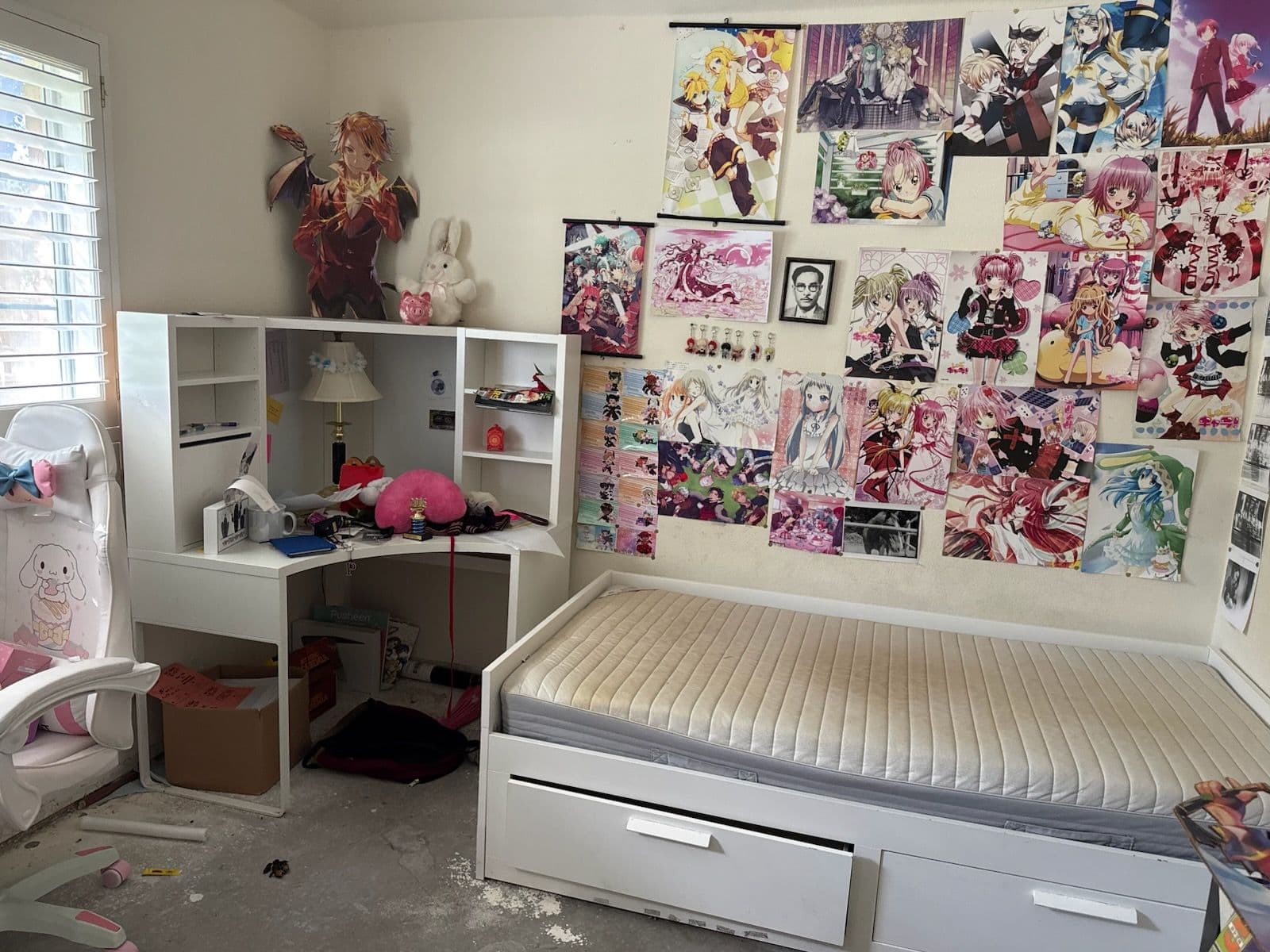 Project Room Decluttering for Anime Fans in Plano image