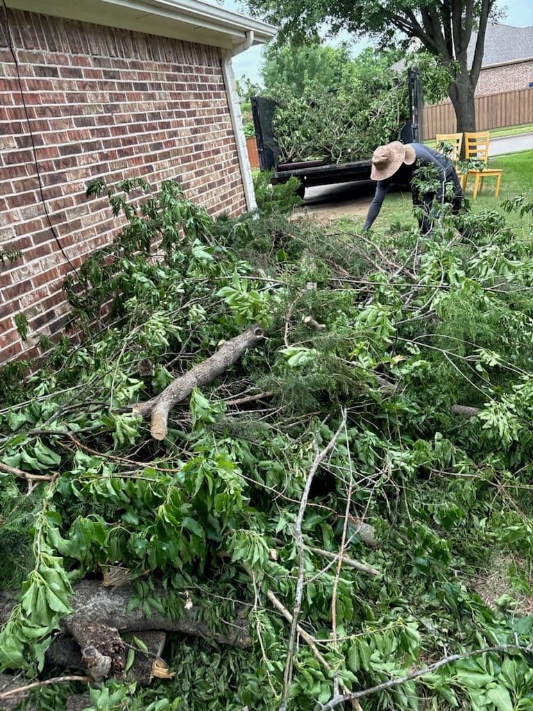 Project Efficient Yard Cleanup Service in McKinney image