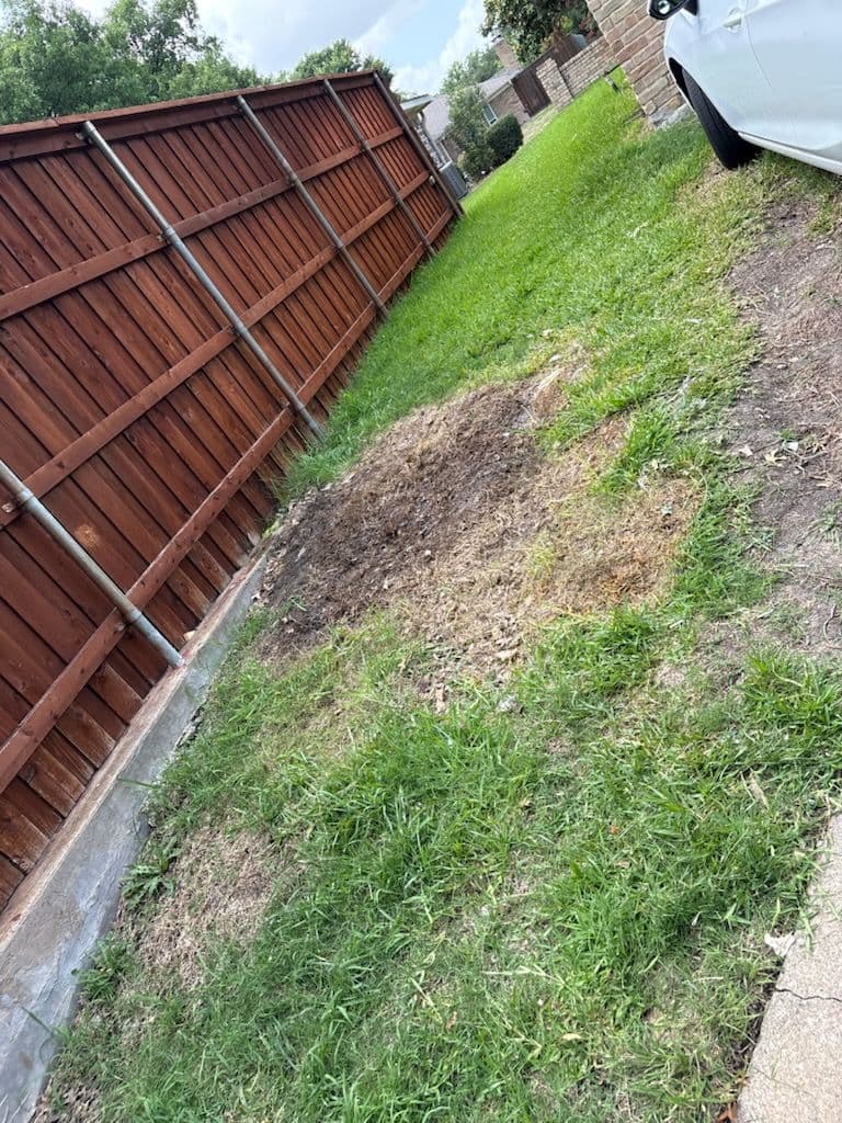 Project Revitalize Your Yard with Expert Cleanout Services image