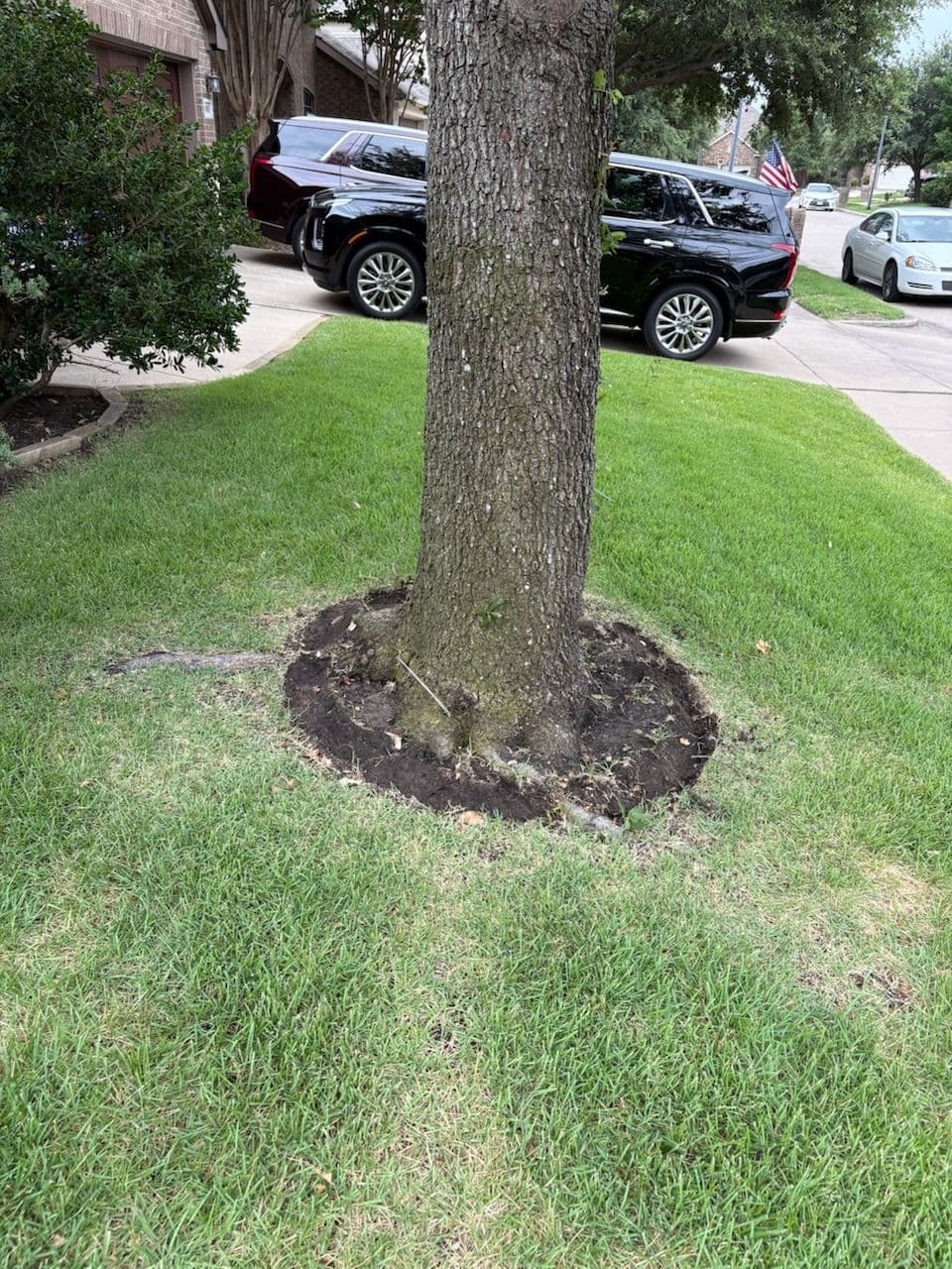Tree Debris Cleared to Perfection in Wylie image