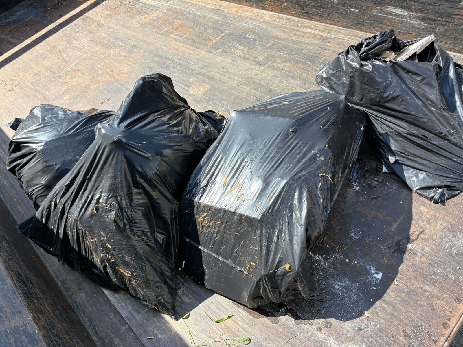 Effective Junk Removal Service in Richardson image