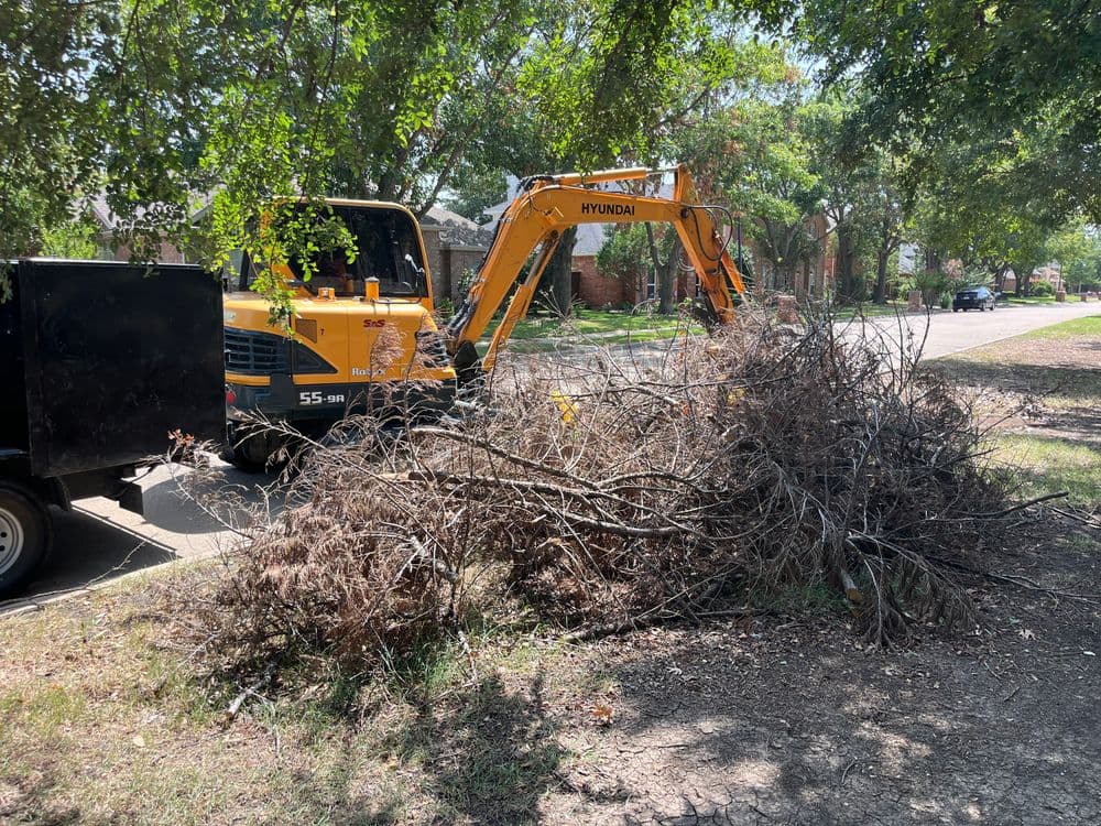 Excavator and truck collecting tree branches on a residential street.