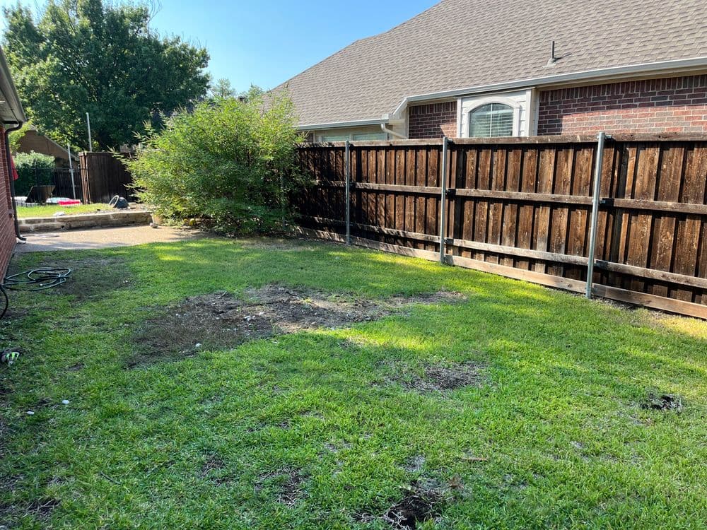 Backyard with grass, uneven patches, wooden fence, and greenery under a clear blue sky.